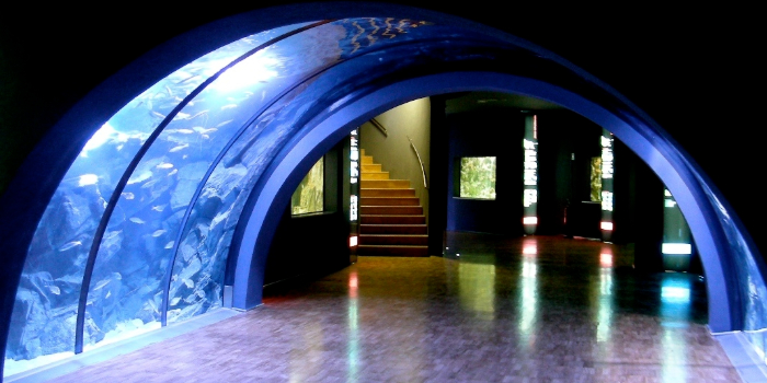 L&rsquo;Acquario